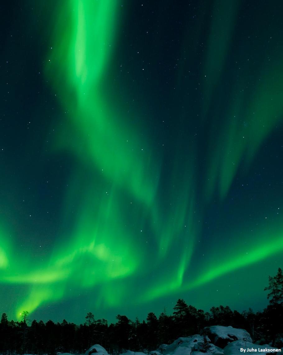 Hotelli Metsaehirvas Rovaniemi