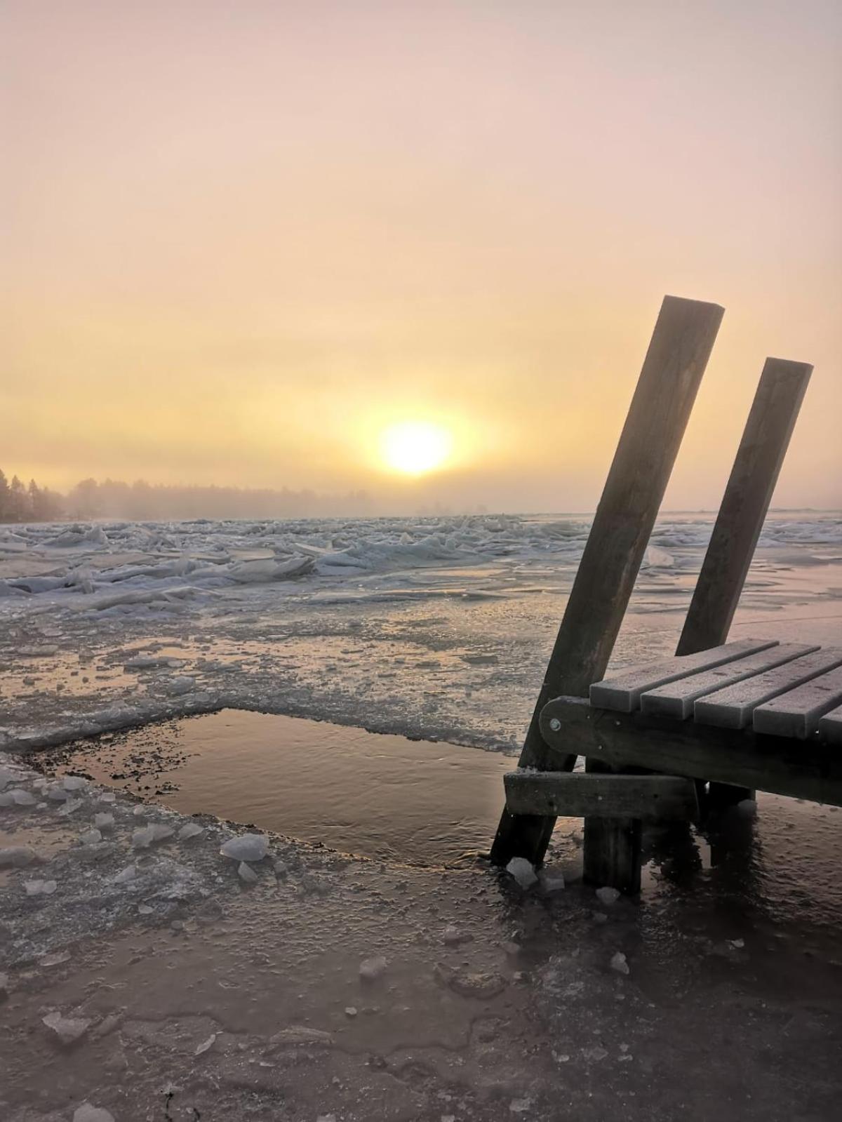 Metsaehirvas Rovaniemi