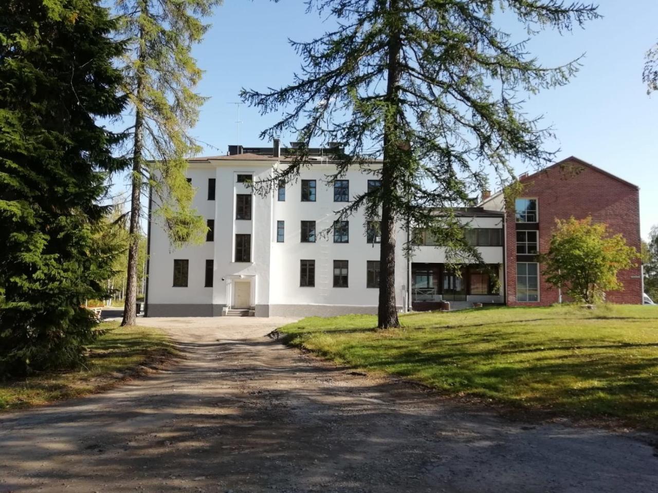 Metsaehirvas 3*