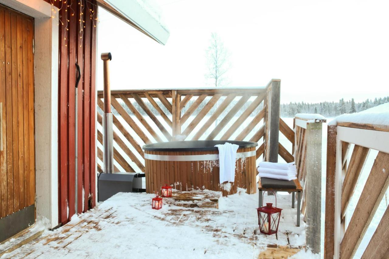 Metsaehirvas Rovaniemi