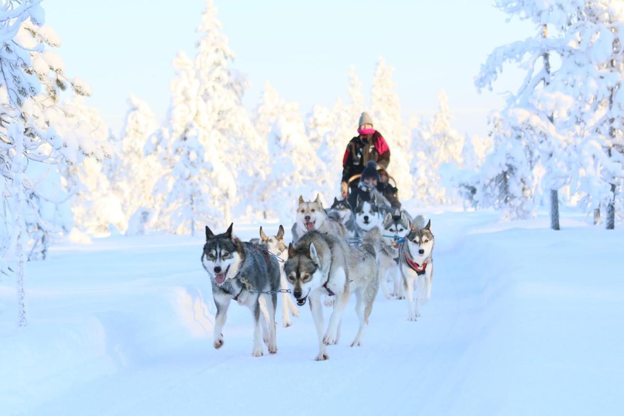 Hotelli Metsaehirvas Rovaniemi